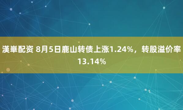 漢崋配资 8月5日鹿山转债上涨1.24%，转股溢价率13.14%