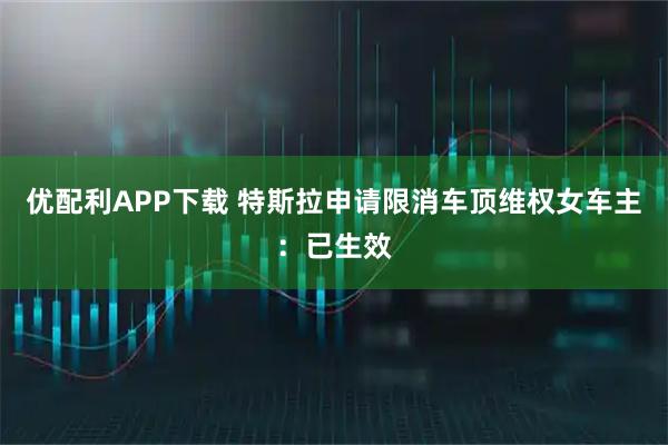 优配利APP下载 特斯拉申请限消车顶维权女车主：已生效