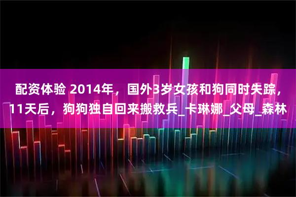配资体验 2014年，国外3岁女孩和狗同时失踪，11天后，狗狗独自回来搬救兵_卡琳娜_父母_森林