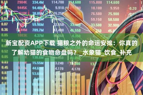 新宝配资APP下载 猫粮之外的命运安排：你真的了解幼猫的食物命盘吗？_水象猫_饮食_补充